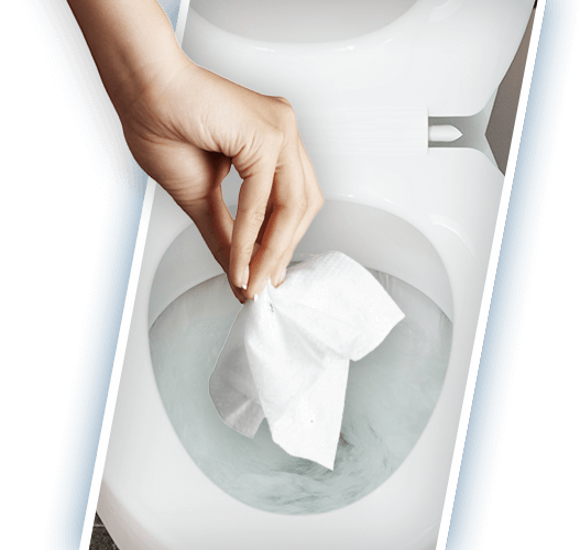 flushable_02